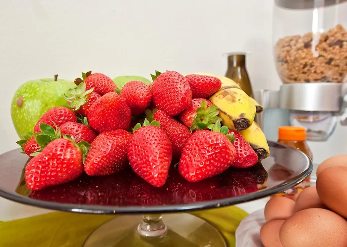 메종 게스트하우스